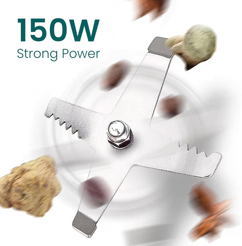Electric Kitchen Mini Grinder