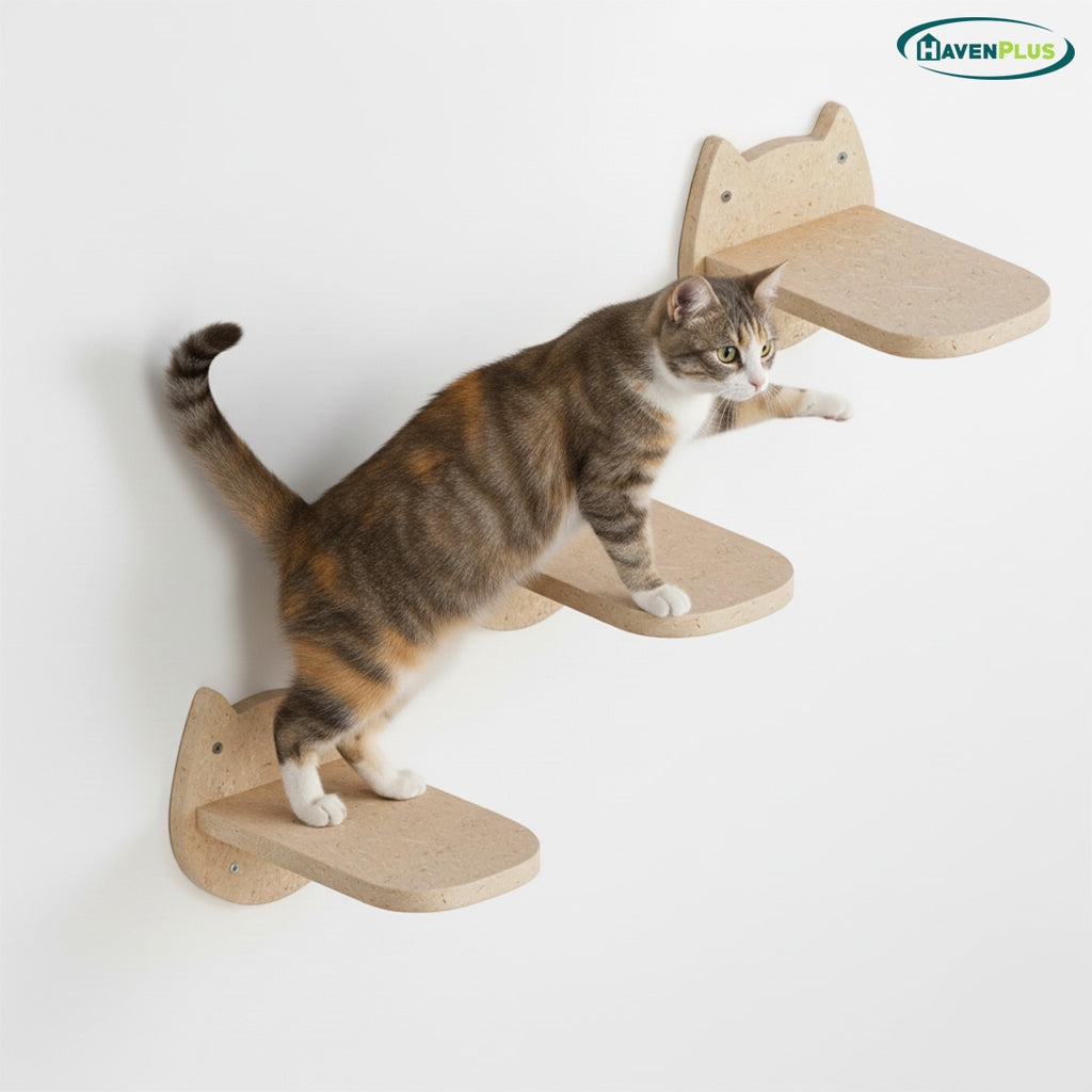Cat Stairs Wall Climbing Set of 3