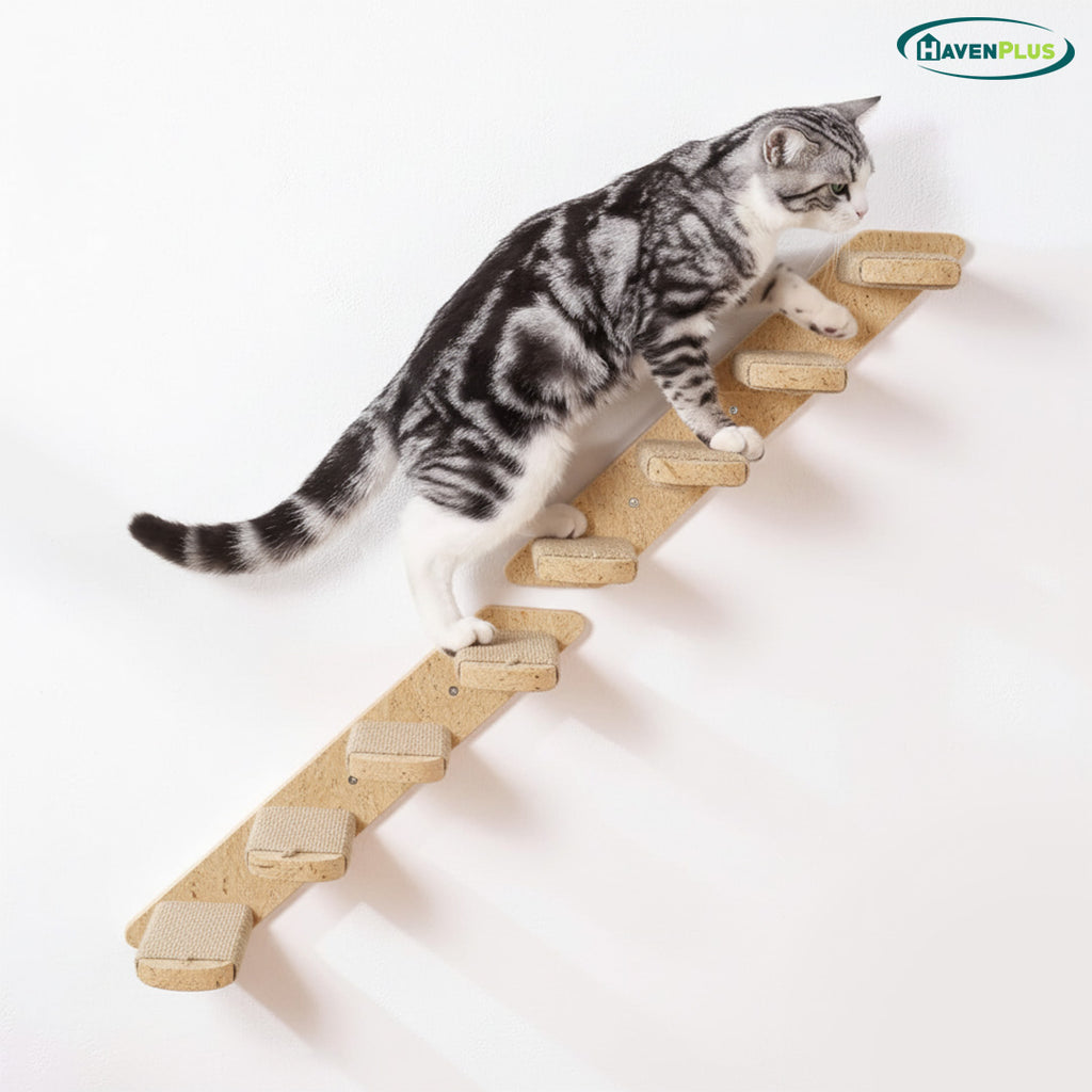 Cat Wall Steps with Rope - Set of 4